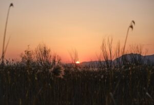 £9.6m secured for new South Hampshire wetlands development